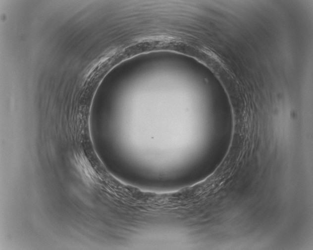 X0000056360967200508261333
