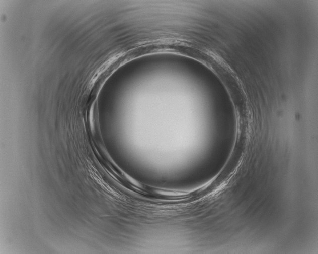 X0000056360969200508261333