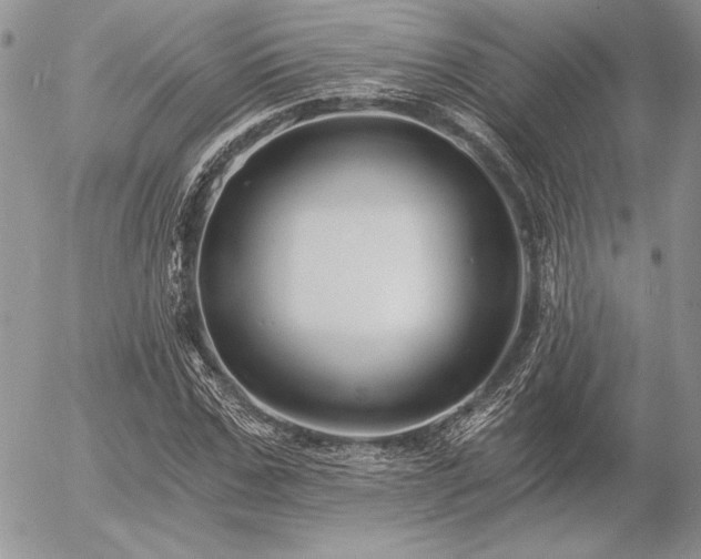 X0000056360971200508261333
