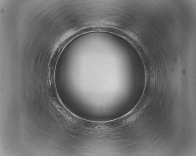 X0000056360974200508261333