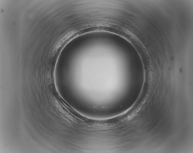 X0000056360977200508261333