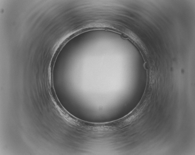 X0000056360988200508261333