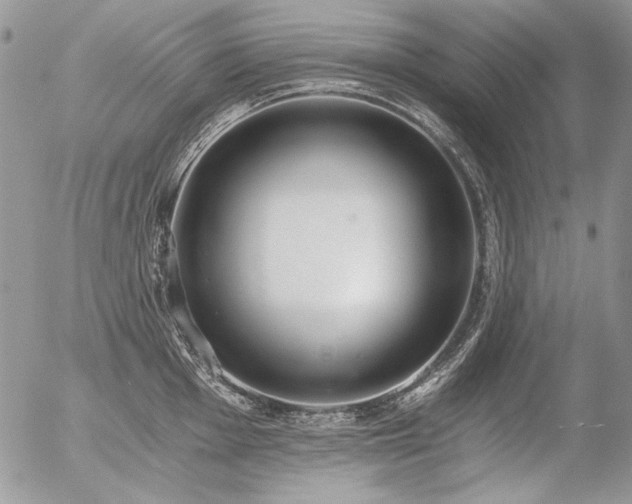 X0000056361001200508261332