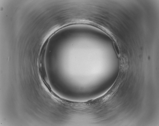 X0000056361007200508261332
