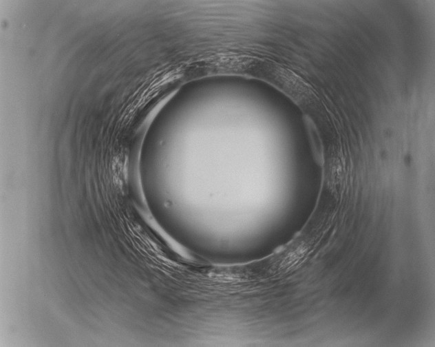 X0000056361010200508261331