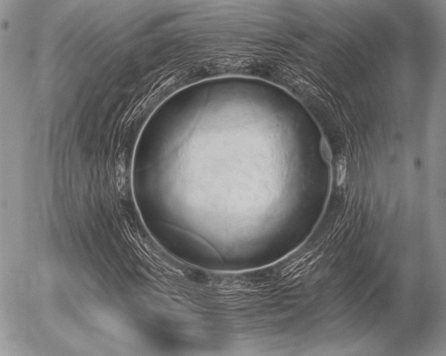 X0000056361011200508261332