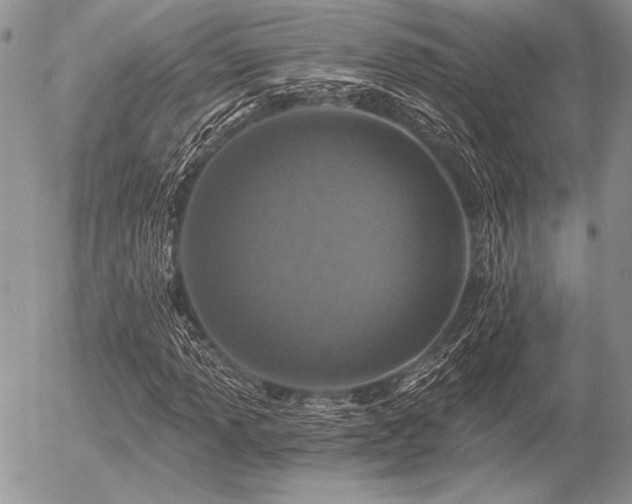 X0000056361013200508261332