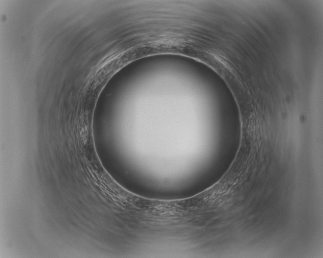 X0000056361015200508261332