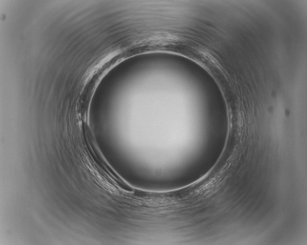 X0000056361018200508261332