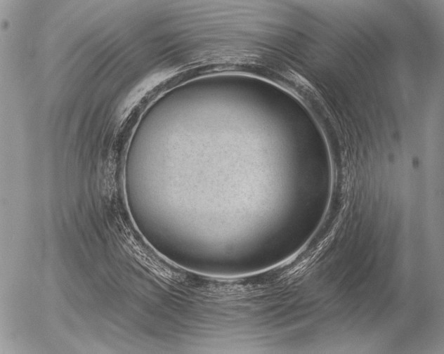 X0000056361019200508261332