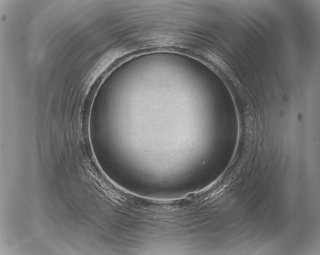 X0000056361023200508261332