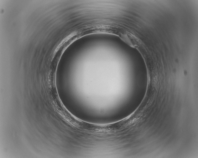 X0000056361026200508261332