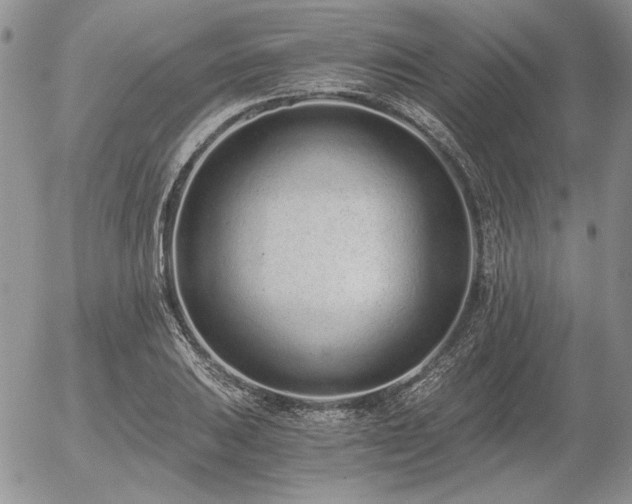 X0000056361031200508261332