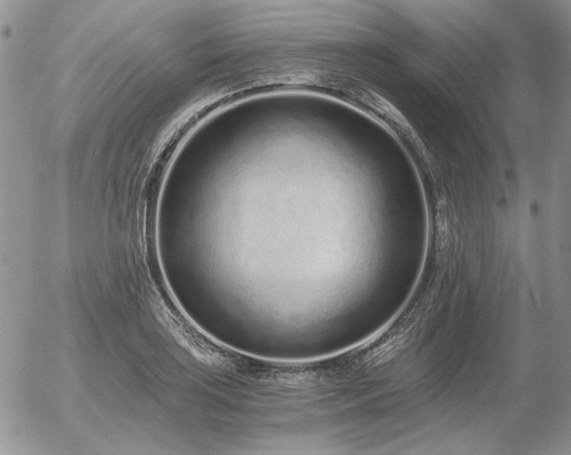 X0000056361035200508261332
