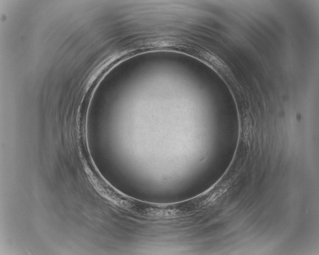 X0000056361039200508261332
