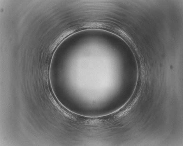 X0000056361041200508261332