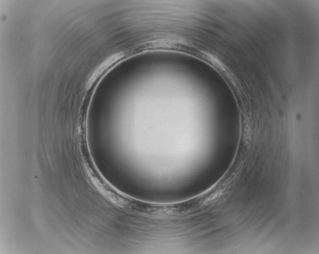 X0000056361042200508261332