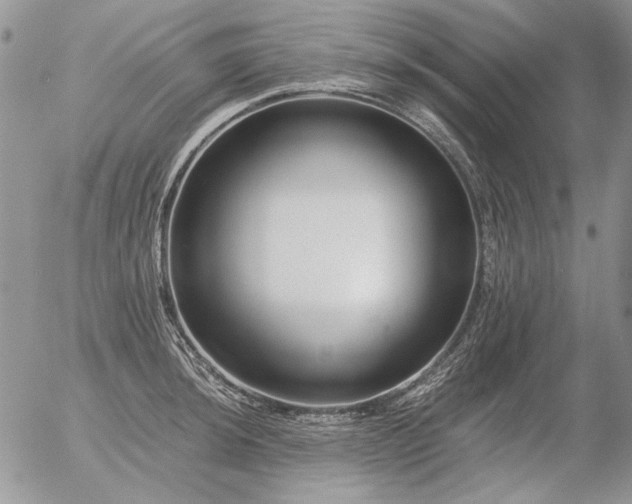 X0000056361044200508261332