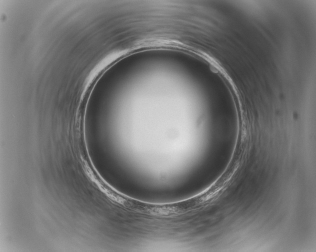 X0000056361053200508261332