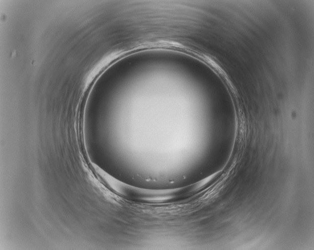 X0000056361054200508261332