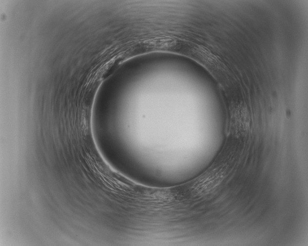 X0000056361058200508261331