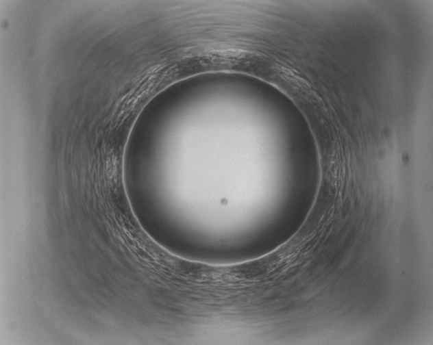 X0000056361061200508261331