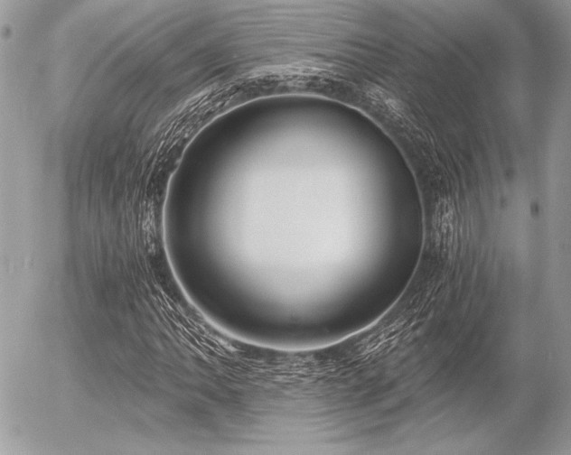 X0000056361062200508261331