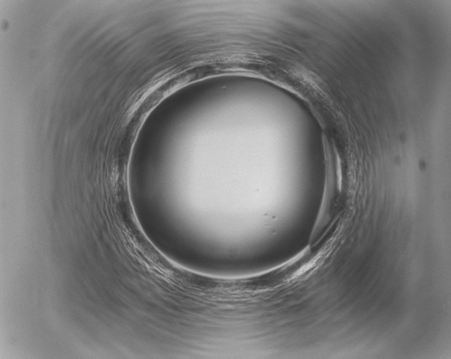 X0000056361065200508261331