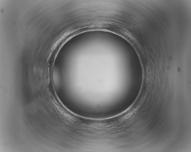 X0000056361075200508261331
