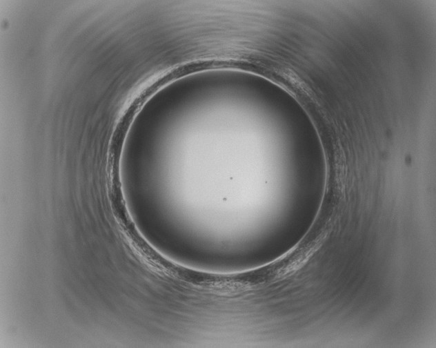 X0000056361077200508261331