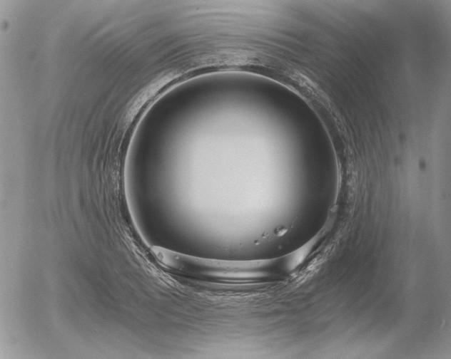 X0000056361081200508261331