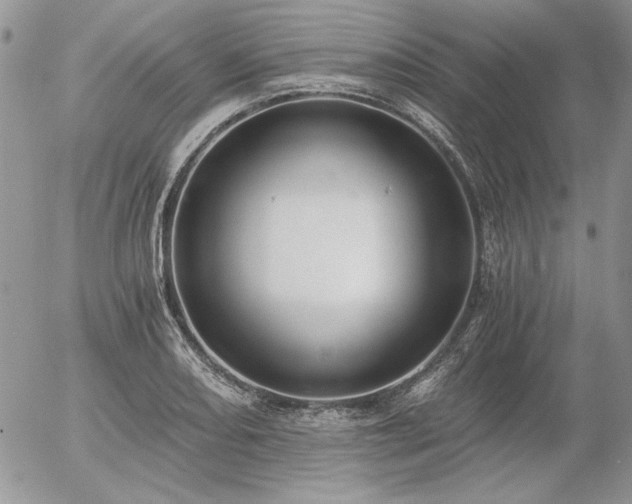 X0000056361082200508261331