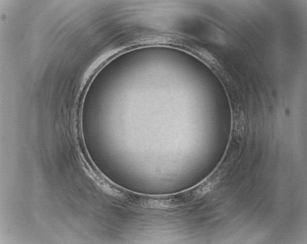 X0000056361086200508261331