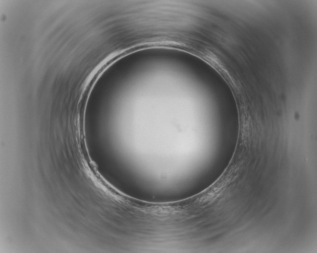 X0000056361092200508261331