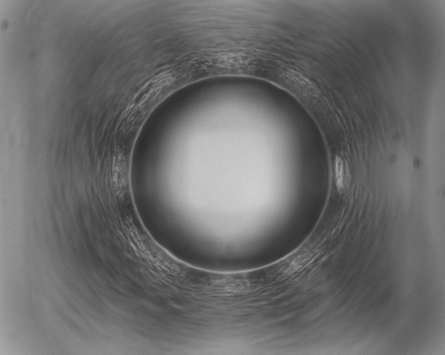X0000056361107200508261330
