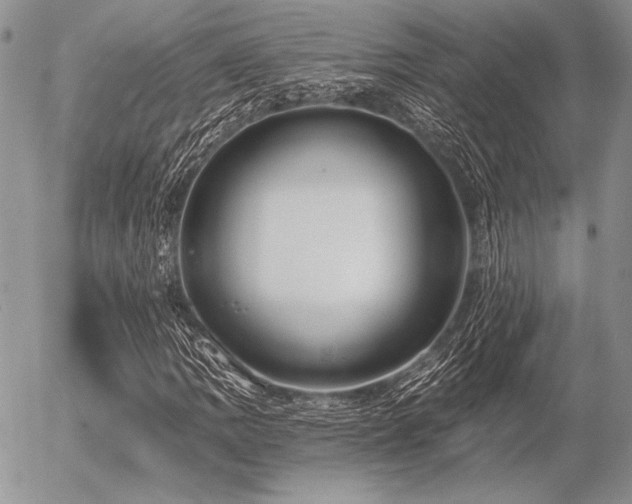 X0000056361109200508261330