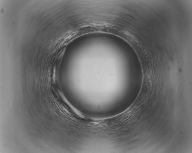 X0000056361110200508261330