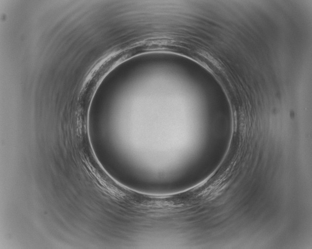 X0000056361115200508261330