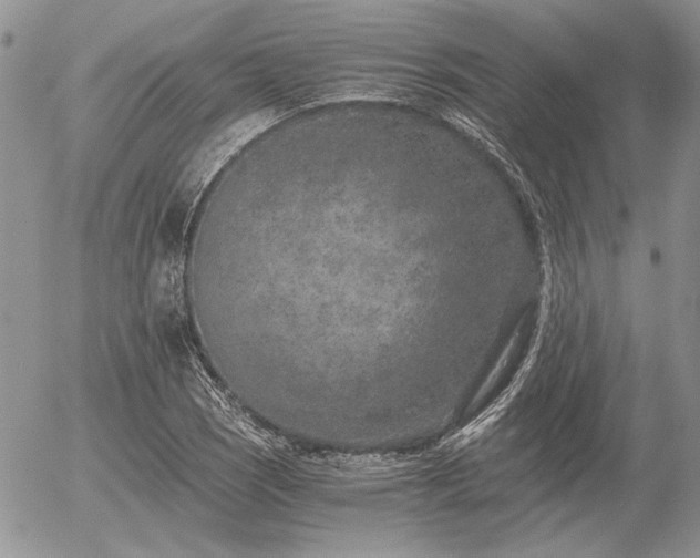 X0000056361121200508261330