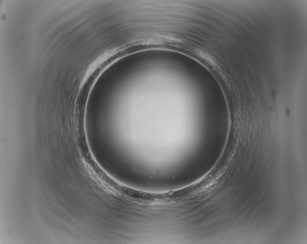X0000056361122200508261330