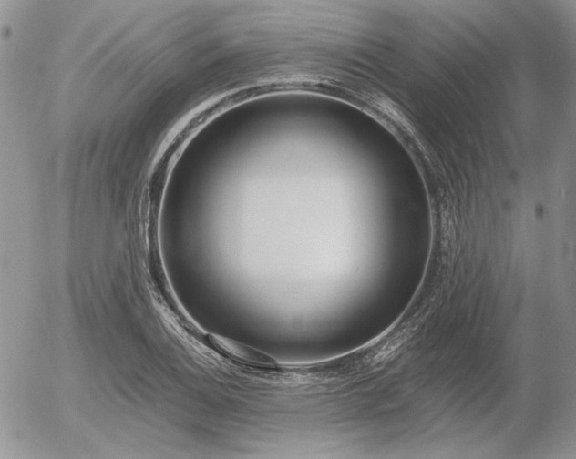 X0000056361124200508261330