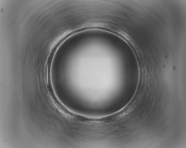 X0000056361127200508261330