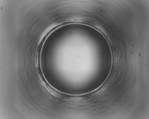 X0000056361131200508261330