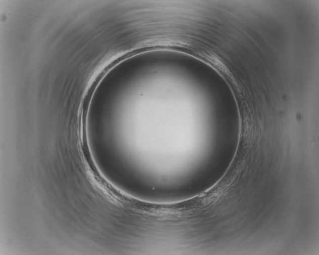 X0000056361132200508261330