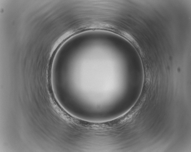 X0000056361138200508261330