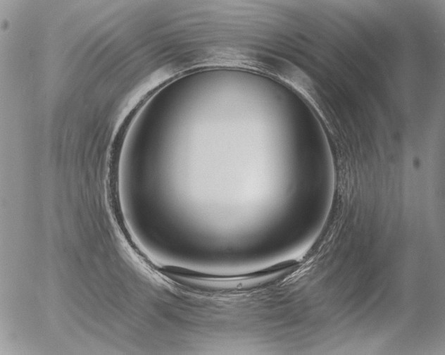 X0000056361139200508261330