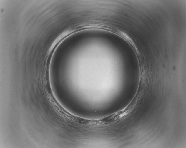 X0000056361146200508261331