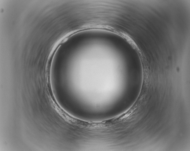 X0000056361148200508261331