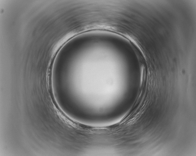 X0000056361151200508261331
