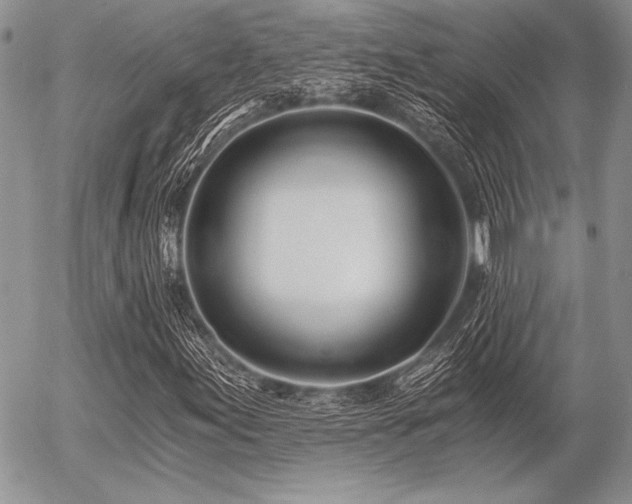 X0000056361155200508261330
